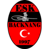 Wappen / Logo des Teams ESK Backnang