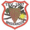 Wappen / Logo des Teams TSV Binswangen