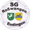Wappen / Logo des Teams SV Rowangen