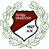 Wappen / Logo des Teams Spvgg Binsdorf