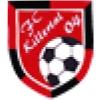 Wappen / Logo des Teams FC Killertal 04 (flex)