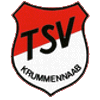 Wappen / Logo des Teams TSV Krummennaab 2