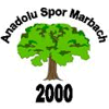 Wappen / Logo des Teams Anadolu Marbach