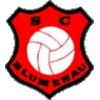 Wappen / Logo des Teams SC Blumenau