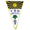 Wappen / Logo des Teams SG Sommerhausen/Winterhausen 2