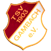 Wappen / Logo des Teams TSV 1903 Gambach