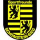 Wappen / Logo des Teams Spfr. Schnstein