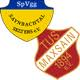 Wappen / Logo des Teams Spvgg. Saynbacht. Selters