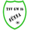 Wappen / Logo des Teams TSV Grn-Wei Snna