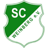 Wappen / Logo des Teams SC Weinberg Schwandorf 2