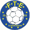 Wappen / Logo des Teams FT Eintracht Schwandorf