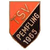 Wappen / Logo des Teams SG Pemfling 2 / Katzbach 2