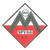 Wappen / Logo des Teams SpVgg Mitterdorf 2