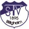 Wappen / Logo des Teams TSV Billigheim 3