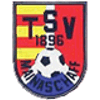 Wappen / Logo des Vereins TSV Mainaschaff