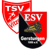 Wappen / Logo des Teams ESV Gerstungen