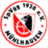 Wappen / Logo des Teams SpVgg Mhlhausen 2