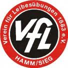 Wappen / Logo des Teams JSG Hamm/ Niederhausen 2