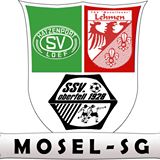 Wappen / Logo des Teams SV Hatzenport-Lf