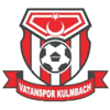 Wappen / Logo des Teams Vatanspor Kulmbach