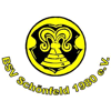 Wappen / Logo des Teams BSV 1980 Schnfeld