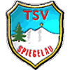 Wappen / Logo des Teams TSV 1924 Spiegelau