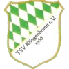 Wappen / Logo des Vereins TSV Klingenbrunn