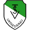 Wappen / Logo des Teams TSV Untersiemau
