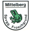 Wappen / Logo des Teams SpVgg Froschgrund Mittelberg