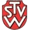 Wappen / Logo des Teams TSV Weienbrunn