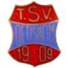 Wappen / Logo des Teams TSV tisheim