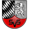 Wappen / Logo des Vereins Sportverein Schefflenz