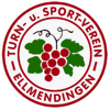 Wappen / Logo des Vereins TuS Ellmendingen
