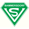 Wappen / Logo des Vereins SV Bammersdorf
