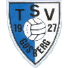 Wappen / Logo des Teams SG Pinzberg Gosberg 2