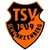 Wappen / Logo des Teams JSG Schwarzenberg/Schmberg