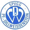 Wappen / Logo des Teams SpVgg Dillweienstein flex