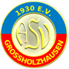 Wappen / Logo des Vereins Allg. SV Groholzhausen