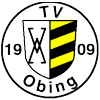 Wappen / Logo des Teams TV 1909 Obing