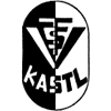 Wappen / Logo des Teams TSV Kastl