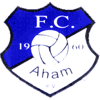 Wappen / Logo des Teams SV Aham