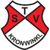 Wappen / Logo des Teams TSV Kronwinkl 3