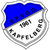 Wappen / Logo des Teams SpVgg Kapfelberg