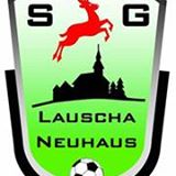 Wappen / Logo des Teams SV 07 Lauscha