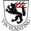 Wappen / Logo des Teams TSV Egmating