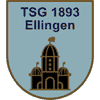 Wappen / Logo des Teams TSG Ellingen