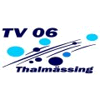 Wappen / Logo des Teams TV Thalmssing