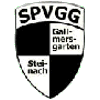 Wappen / Logo des Teams SpVgg Gallmersgarten-Steinach