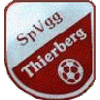 Wappen / Logo des Teams SpVgg Thierberg