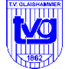 Wappen / Logo des Teams TV Glaishammer Nrnberg